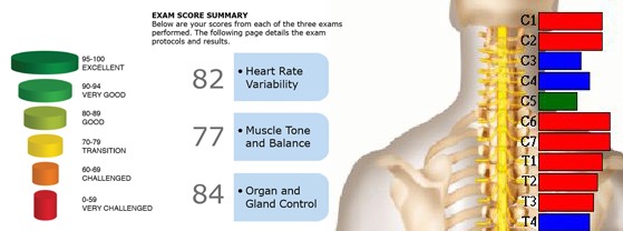 chiropractic assessment